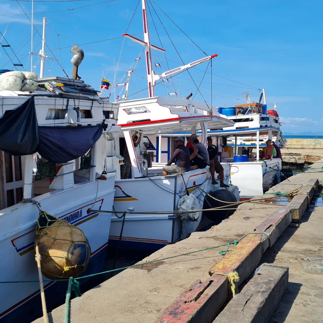 Embarcaciones pesqueras amarradas en un muelle