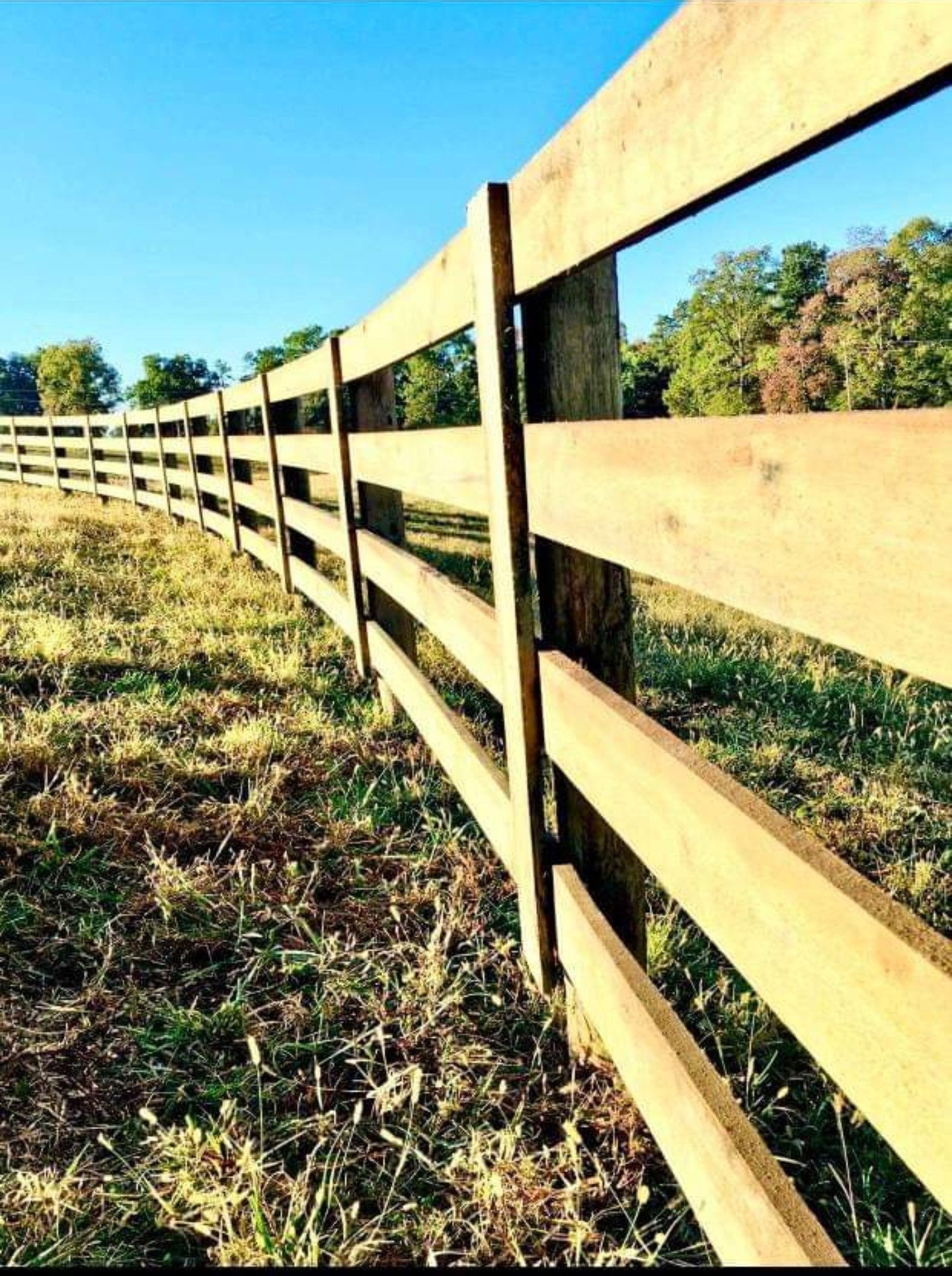 London, KY's BEST Fencing Company Wildcat Fencing Company
