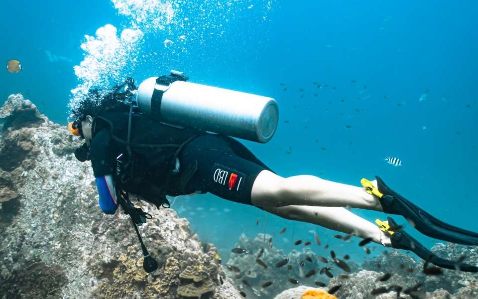 Divr-Underwater-A-La-Bombona-Diving-School-Koh-Tao
