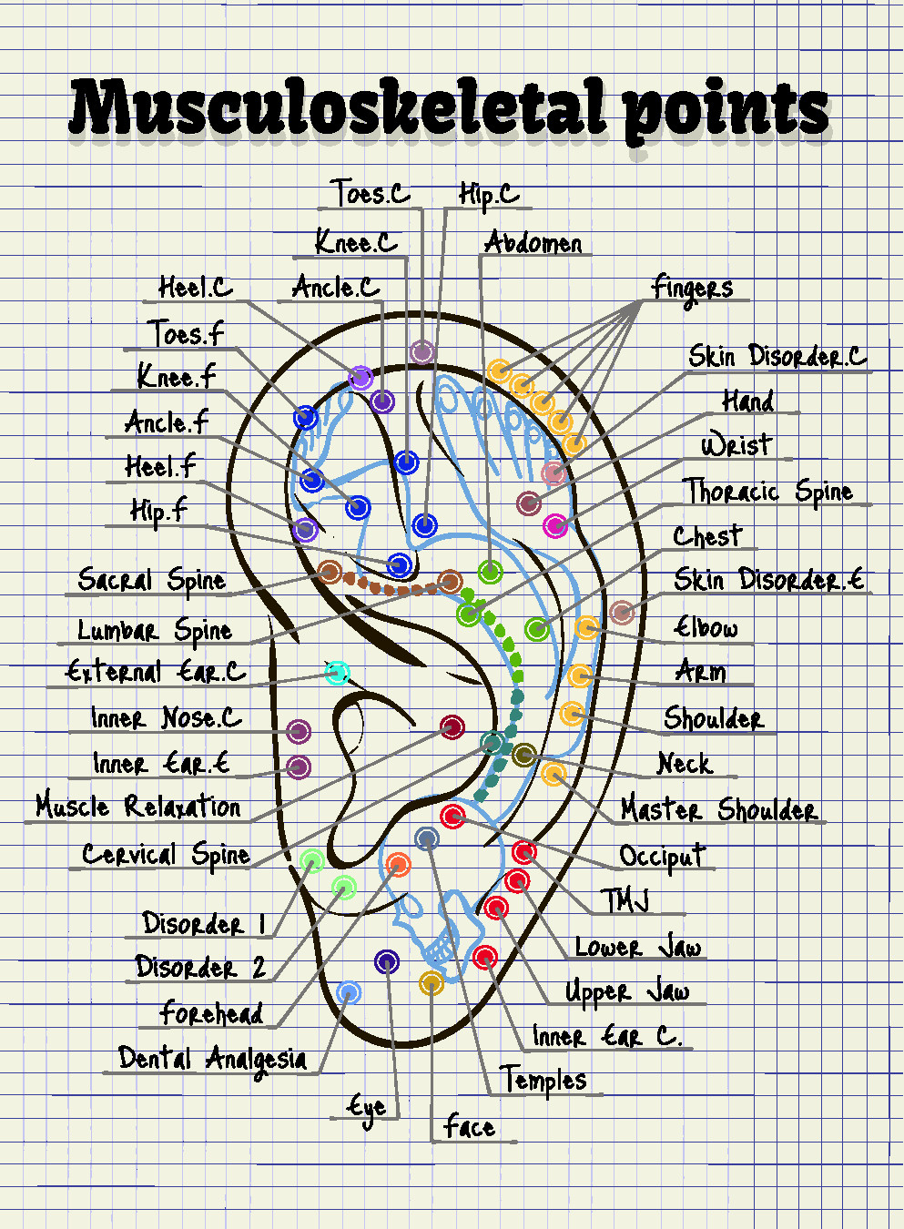 Auricular Acupuncture Ear Chart