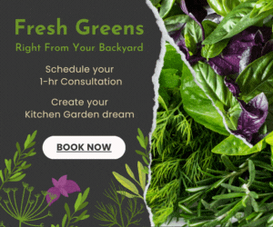 Fresh Greens From Your BackYard