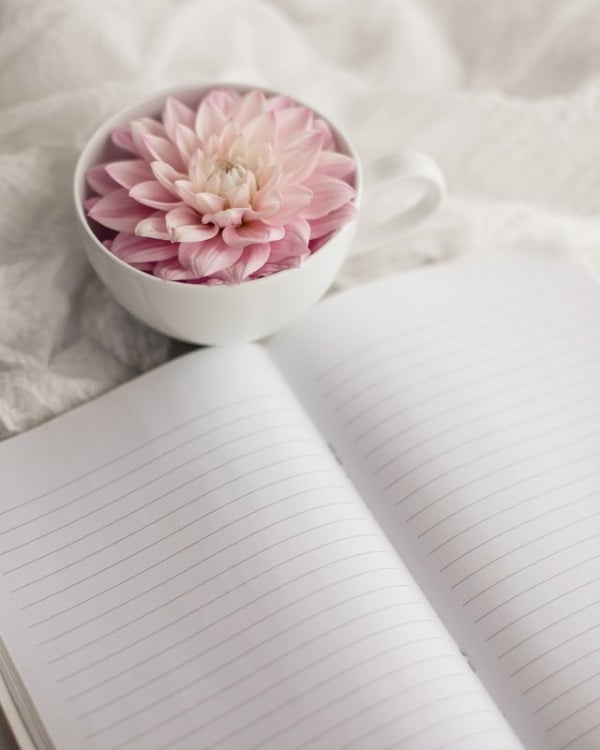 fill your cup with fresh flowers and get ready to take notes