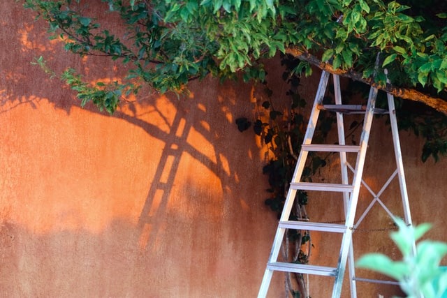 ladder and sunshine