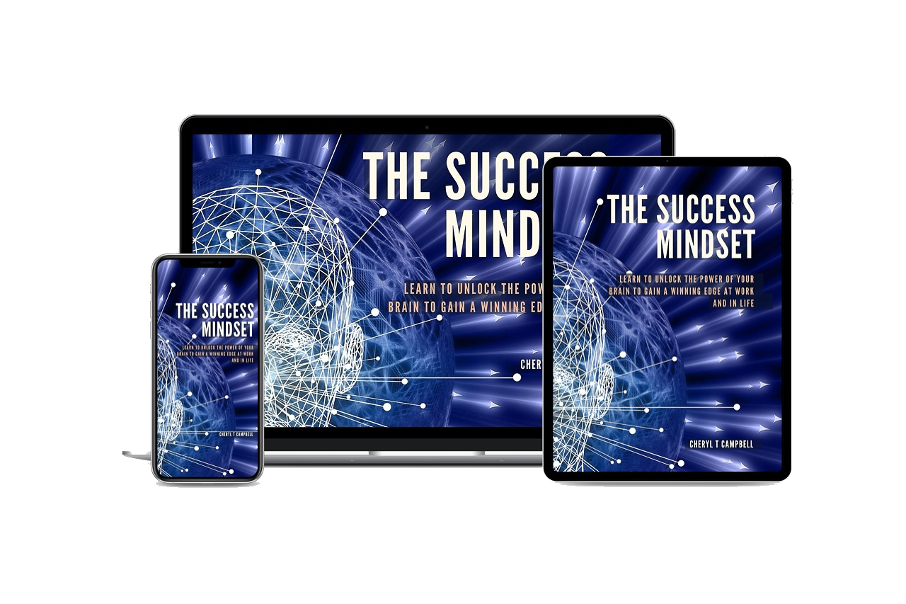 The Succeess Mindset Program