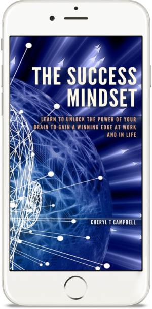 The Success Mindset Personal Grwoth Program