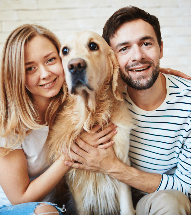 Chris's Pet Care / The Good Dog Walker — dog boarding