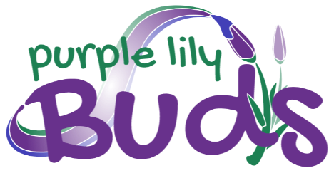 Purple Lily Buds