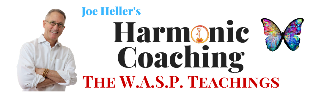 Joe Heller Harmonic Evolution Coaching + Mastermind