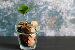 MoneyPot