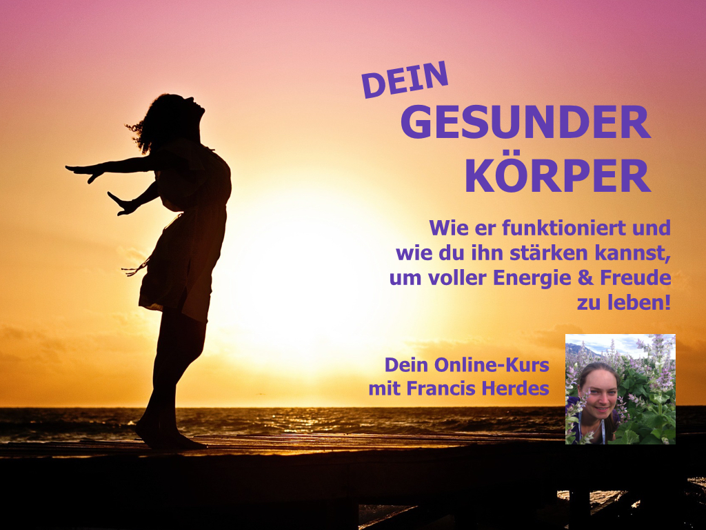 Kursname / Titel des Kurses