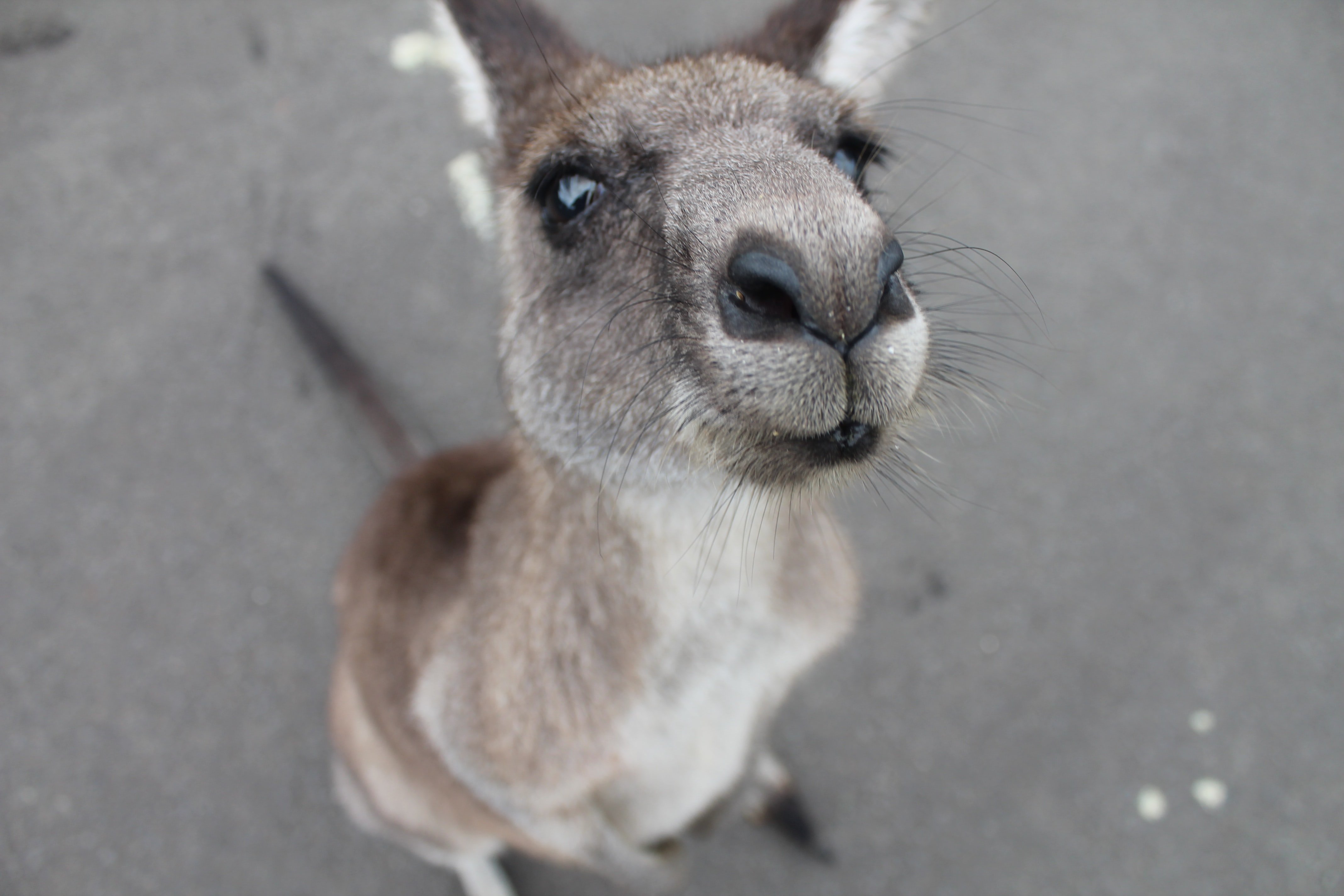 Florence Roo growing up