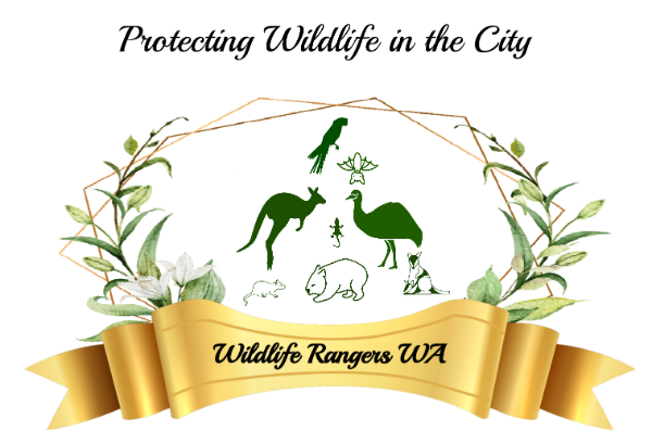 wildlife rangers logo