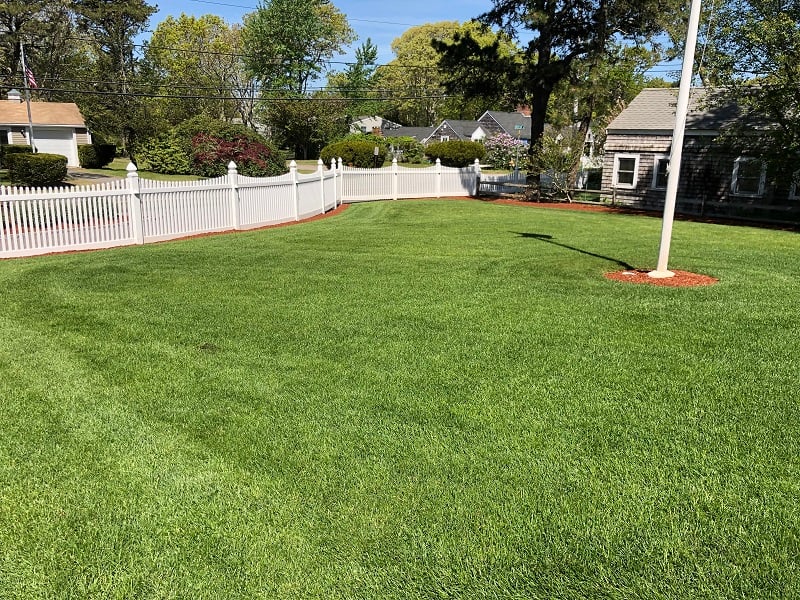Trademark Lawns - Lawn Maintenance and Landscaping