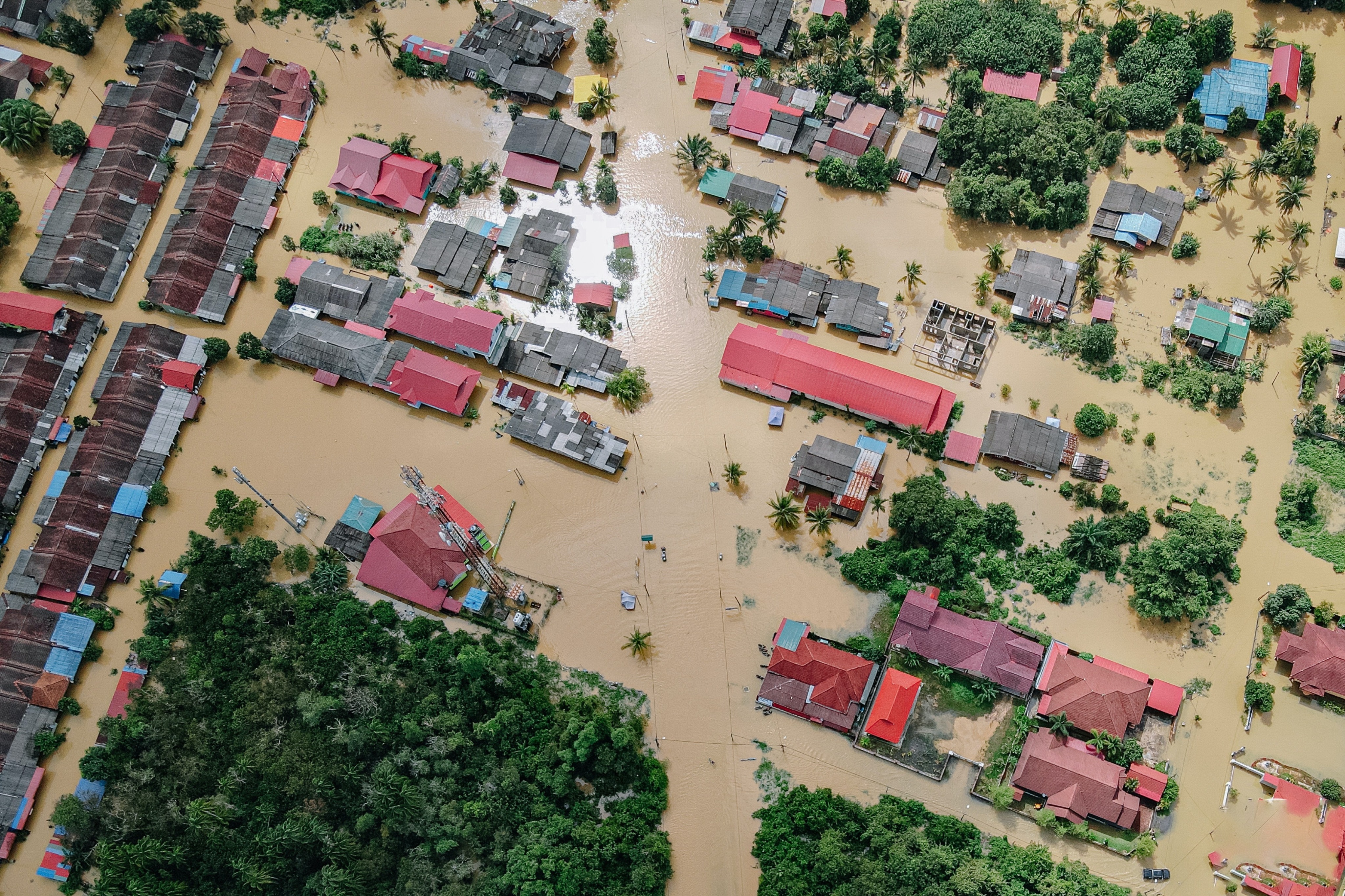 К чему снится наводнение девушке. Disaster Management.