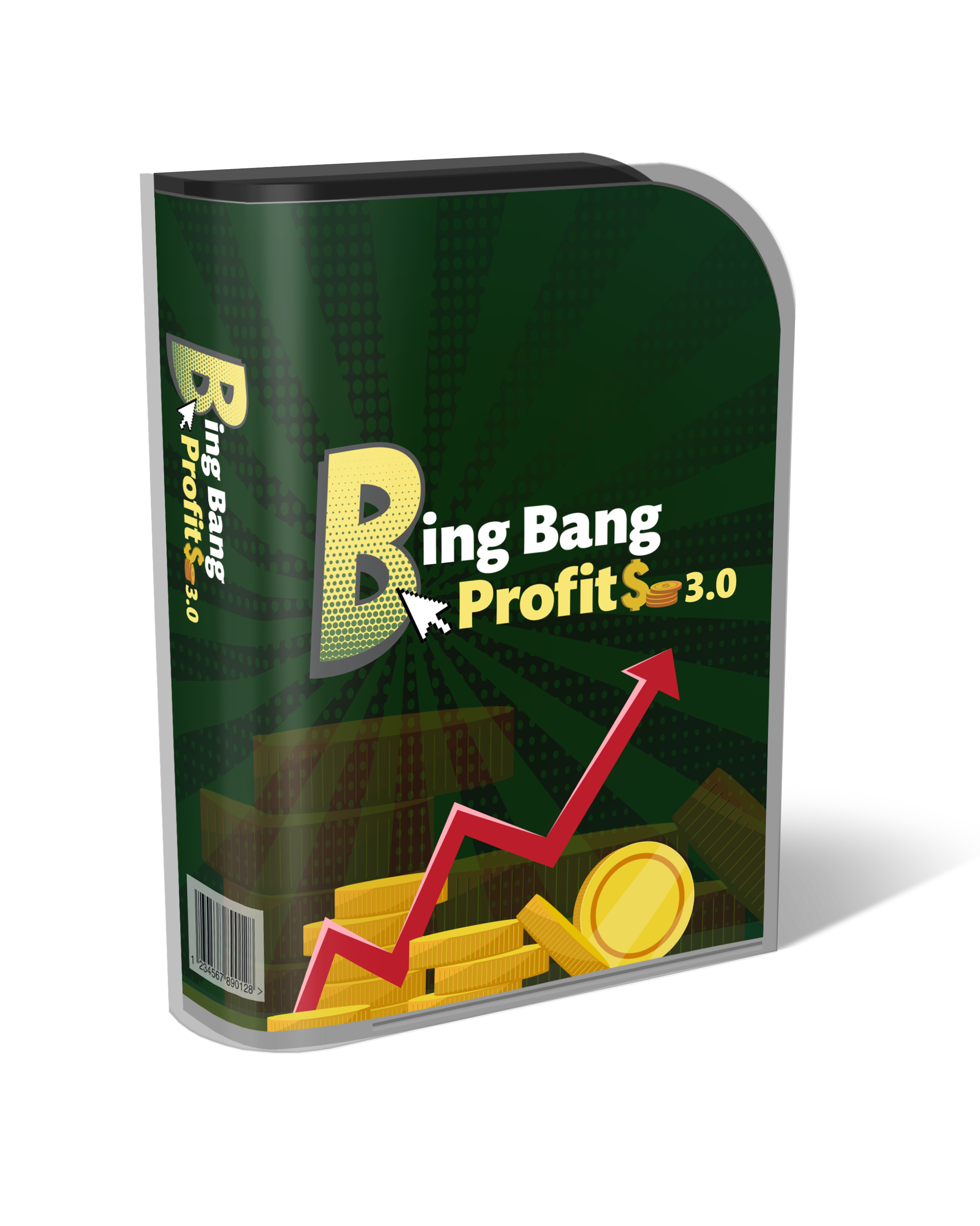 Bing Bang Profits Reloaded Review - Ad Creating Software for Google ads