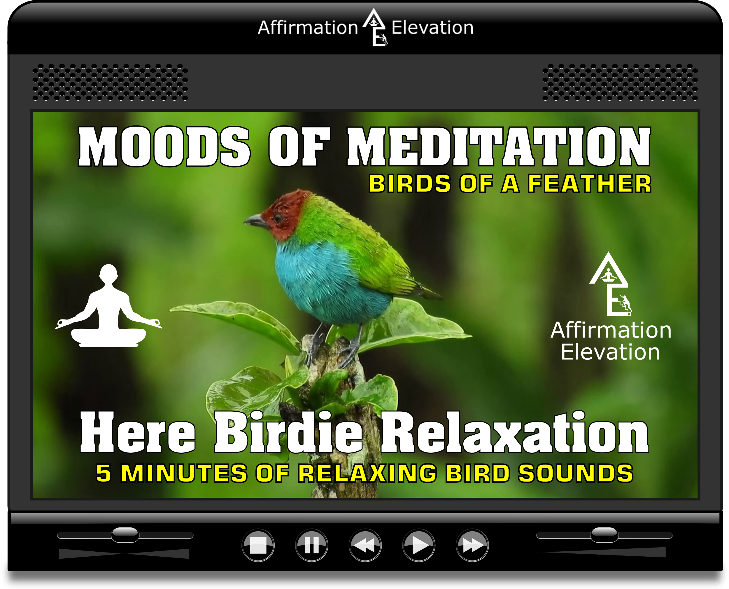 Moods Of Meditation Relaxing Bird Sounds