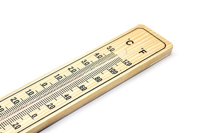 thermometer for snake cage