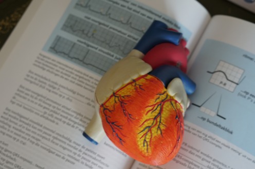 Heart on Pages of Book