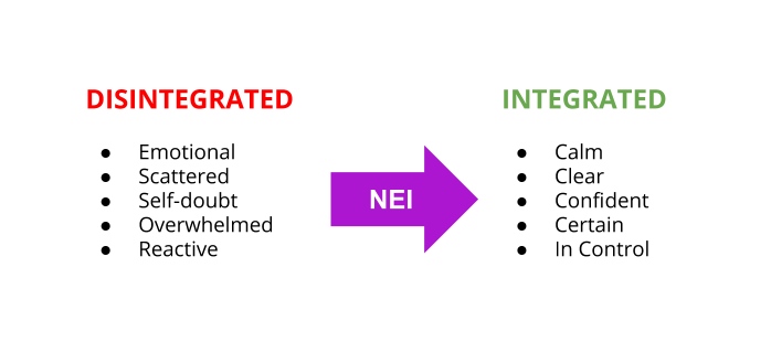 From disintegrated to integrated with NEI