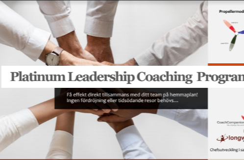 Platinum Leadership Program