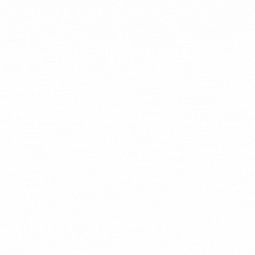 nadya logo