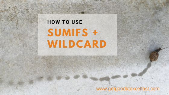 How to Use Excel Wildcard With SumIFs Formula