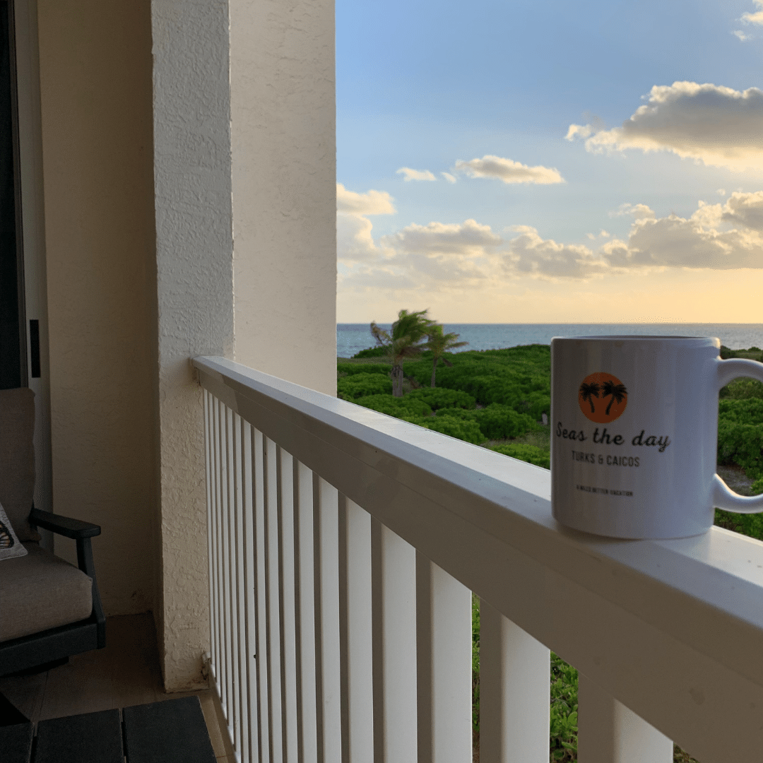 Seas The Day TCI - Covered Balcony