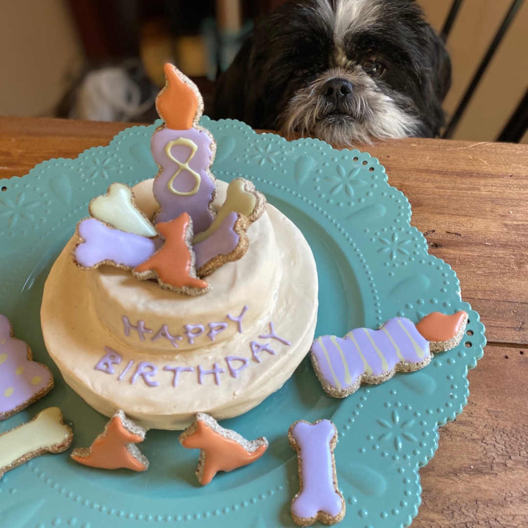 Shih Tzu Lover | Cake made for a proud owner of two shih tzu… | Flickr
