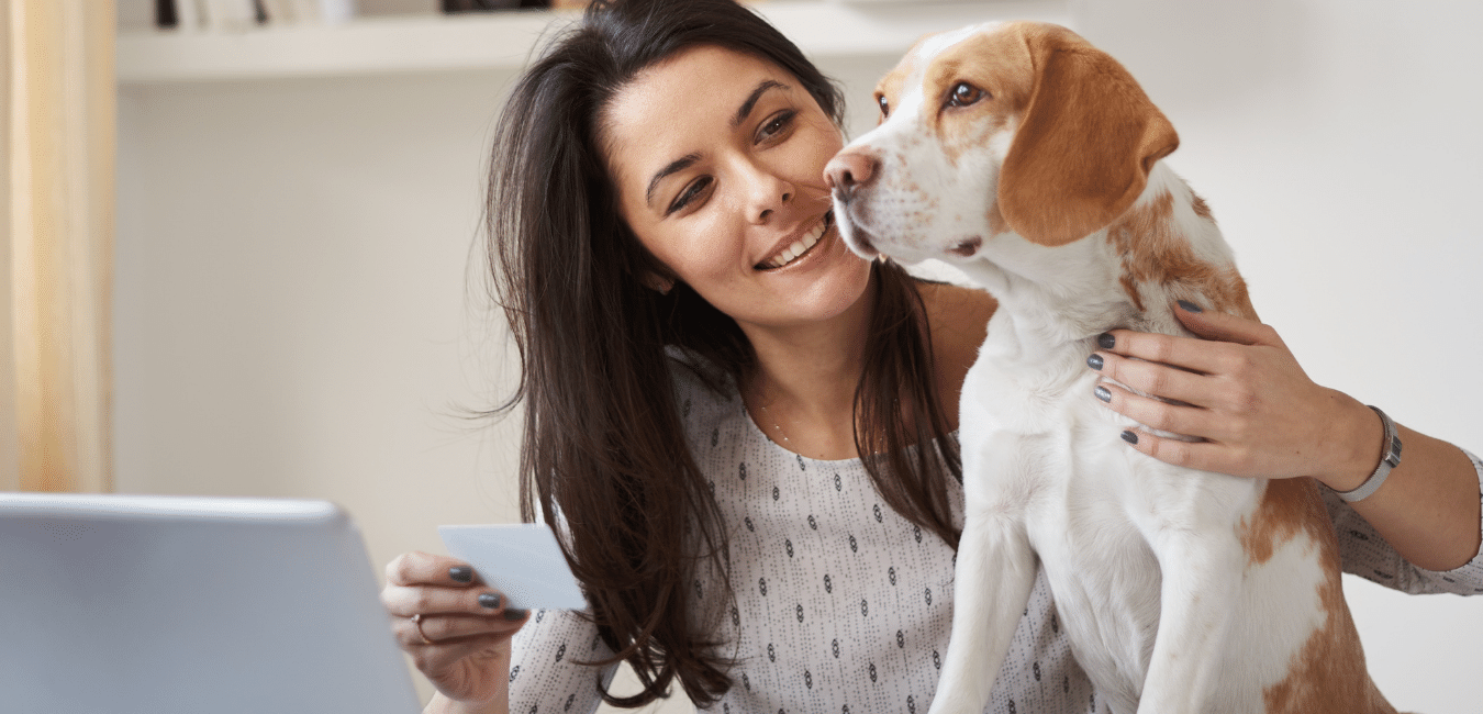 how to start a online dog treat business