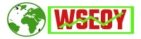 Logo for WSEOY SEO Agency  Pontefract