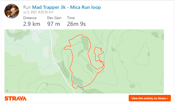Mica Run Loop