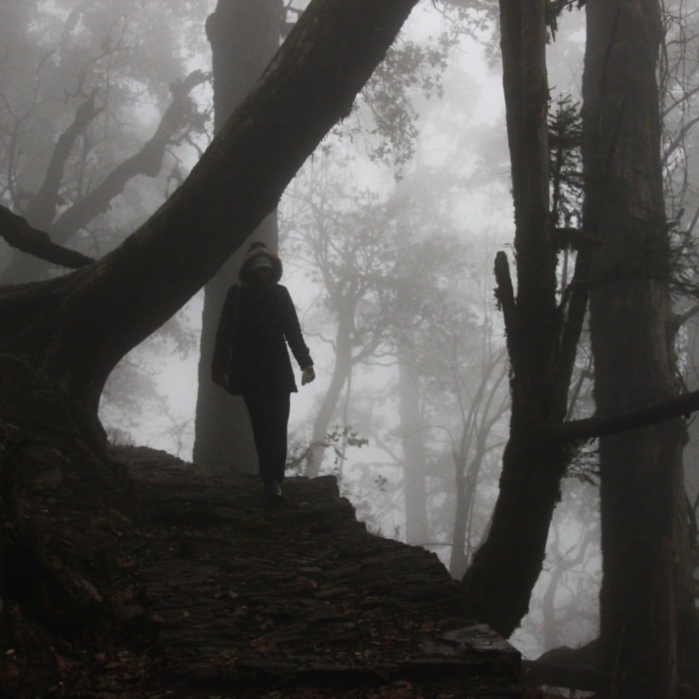 Wandering through the mist