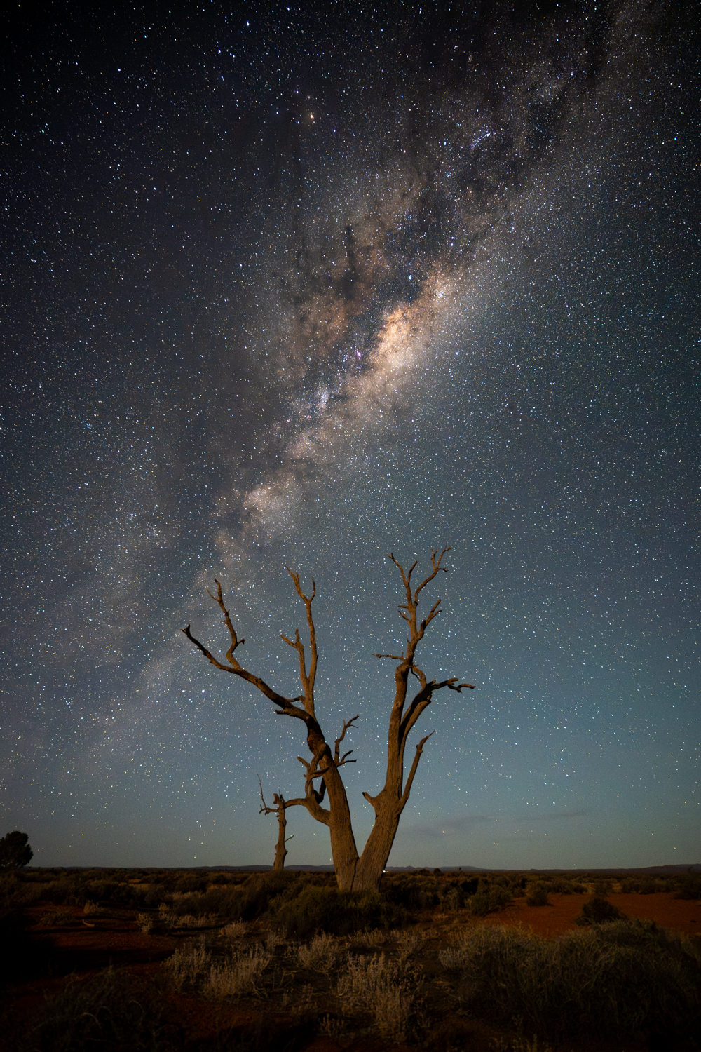 Tamron 16-30mm Night Sky Photography