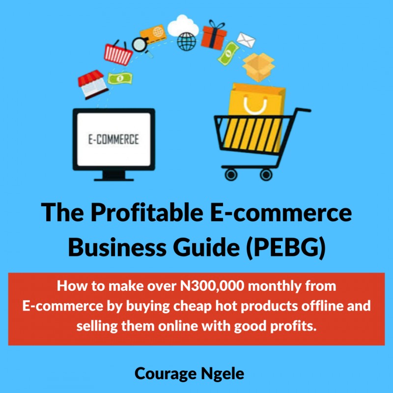 The Profitable Ecommerce Business Guide