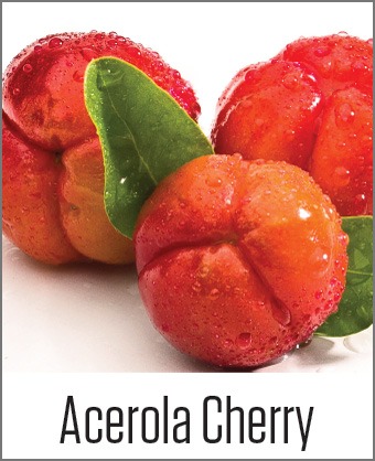 MOA Acerola Cherry