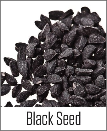 MOA Black Seed