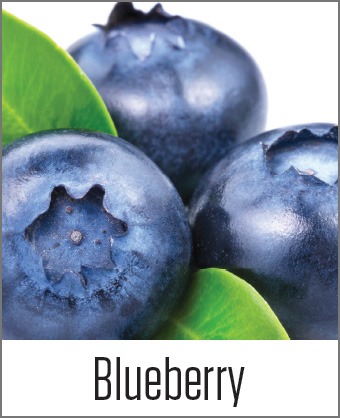 MOA Blueberry