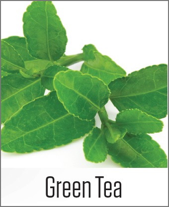 MOA Green Tea