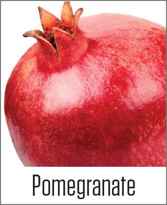 MOA Pomegranate