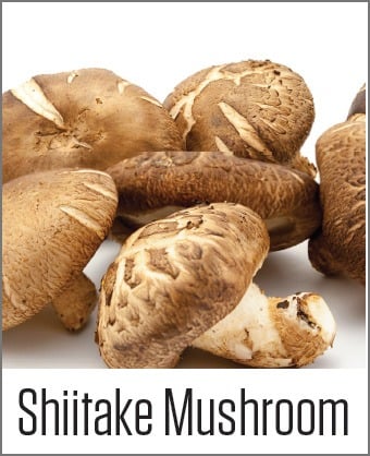 MOA Shitake Mushroom