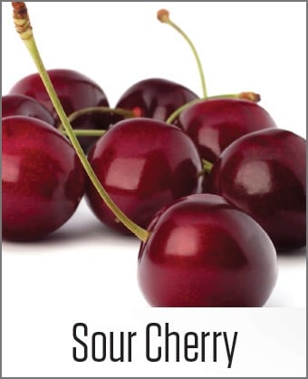 MOA Sour Cherry