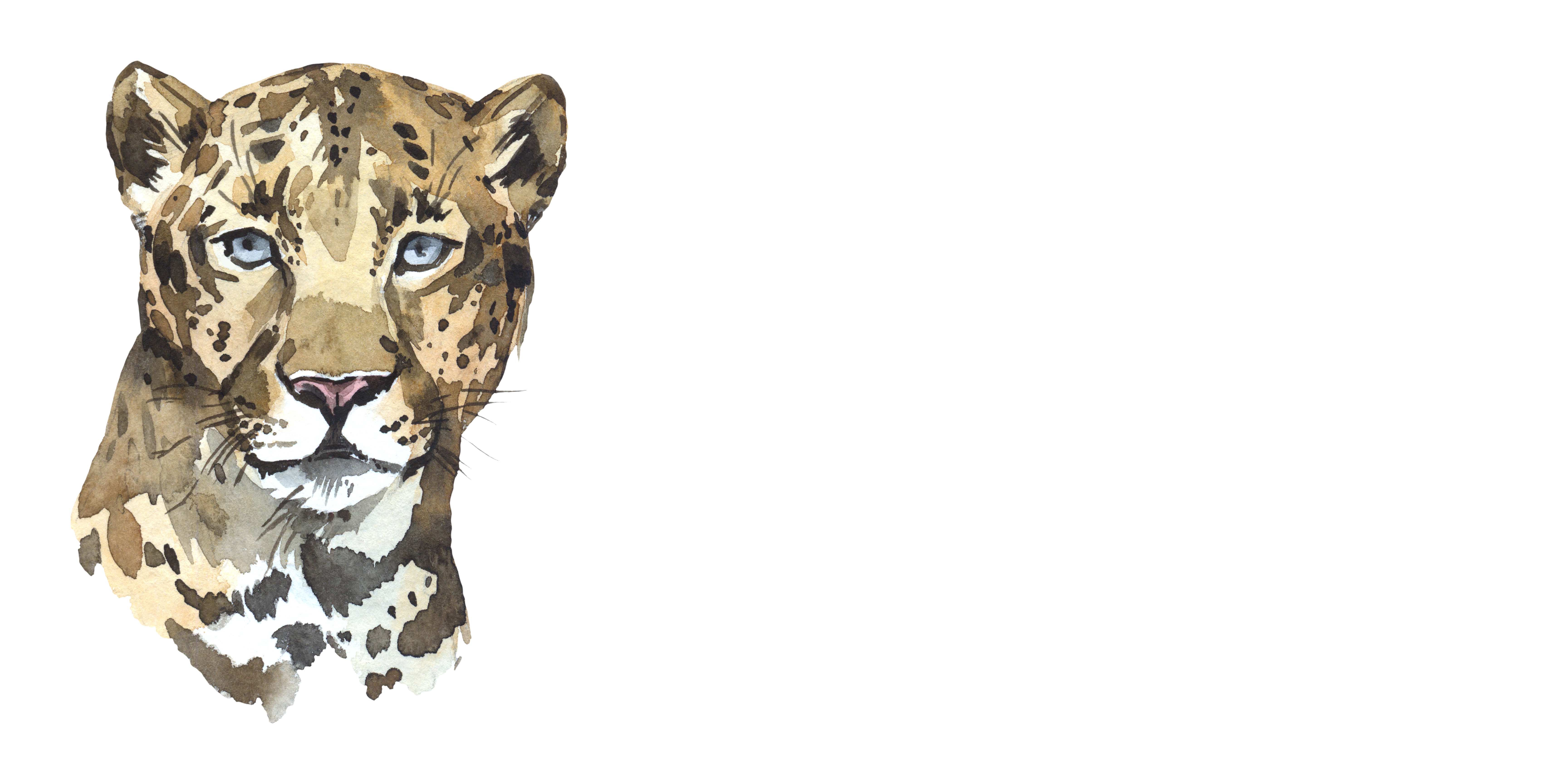 Logo of Tash Digital
