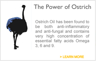 Power-of-Ostrich-banner