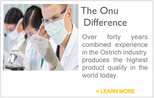 Onu Difference banner