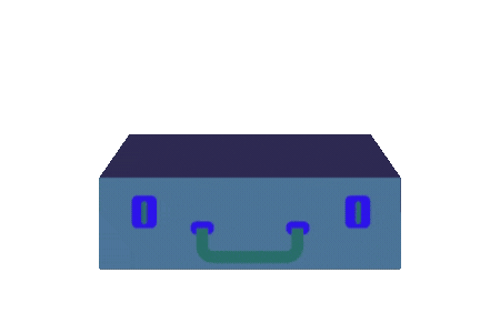 briefcase