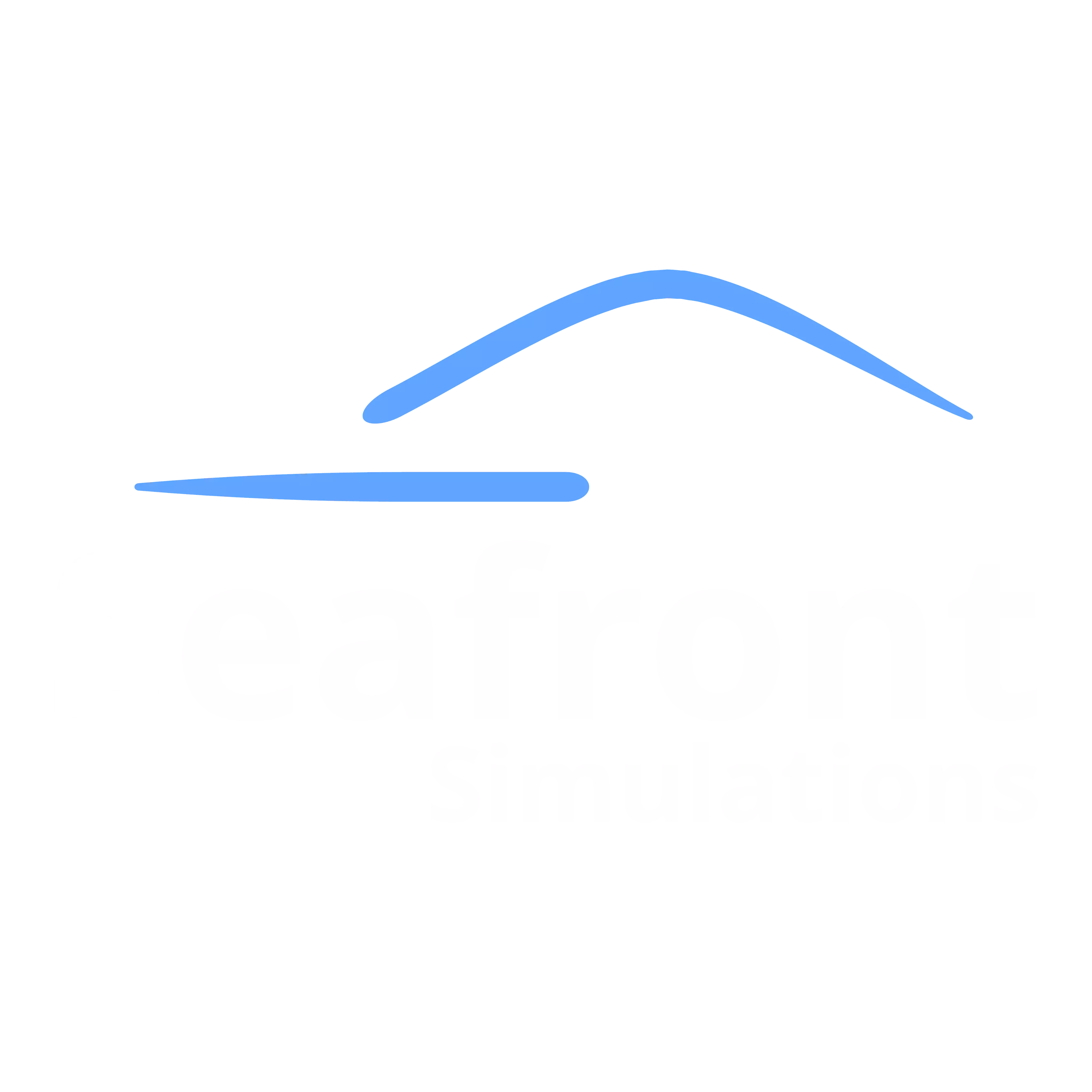 seafront simulations logo