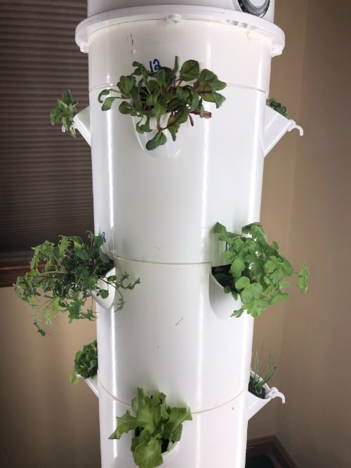 Juicing Tower Container Seeds Collection – Garden Tower