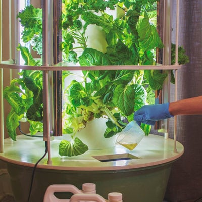 Juicing Tower Container Seeds Collection – Garden Tower