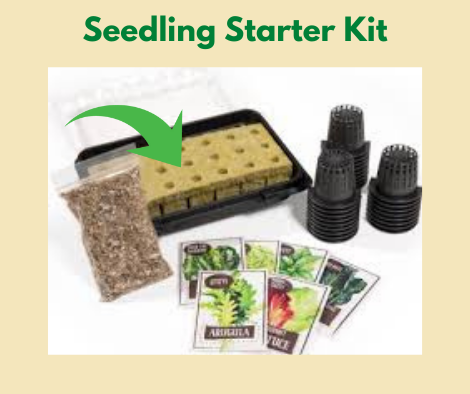 Seedling Starter Kit