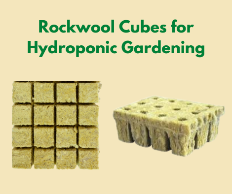Hydroponic Rockwool Germination Cubes